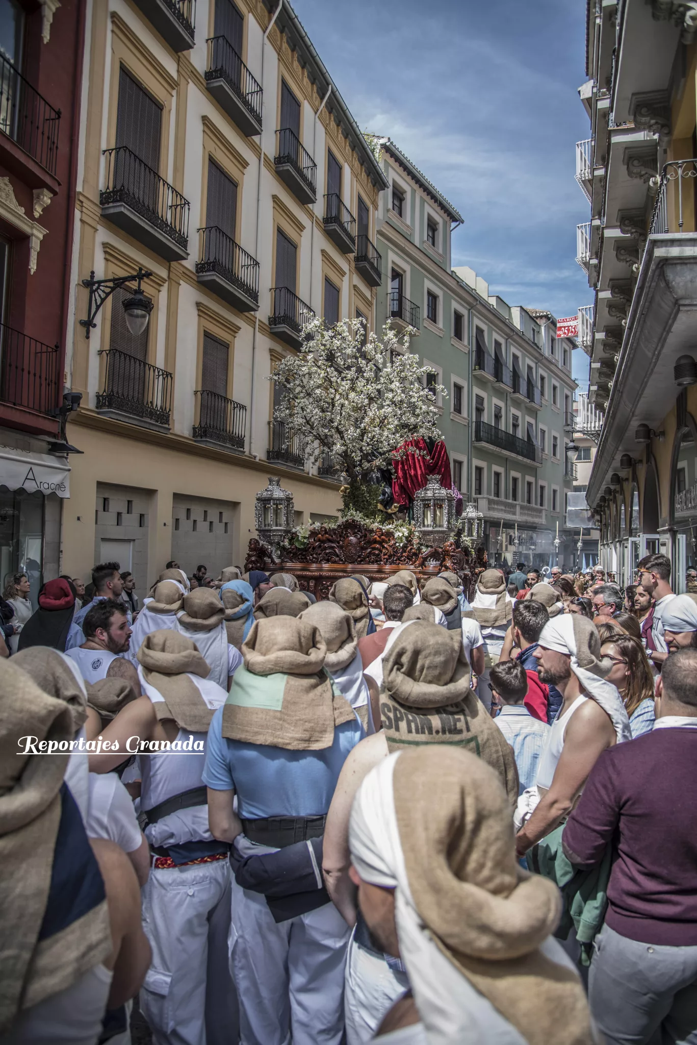 Resucitado Regina, hermandad de la Semana Santa de Granada
