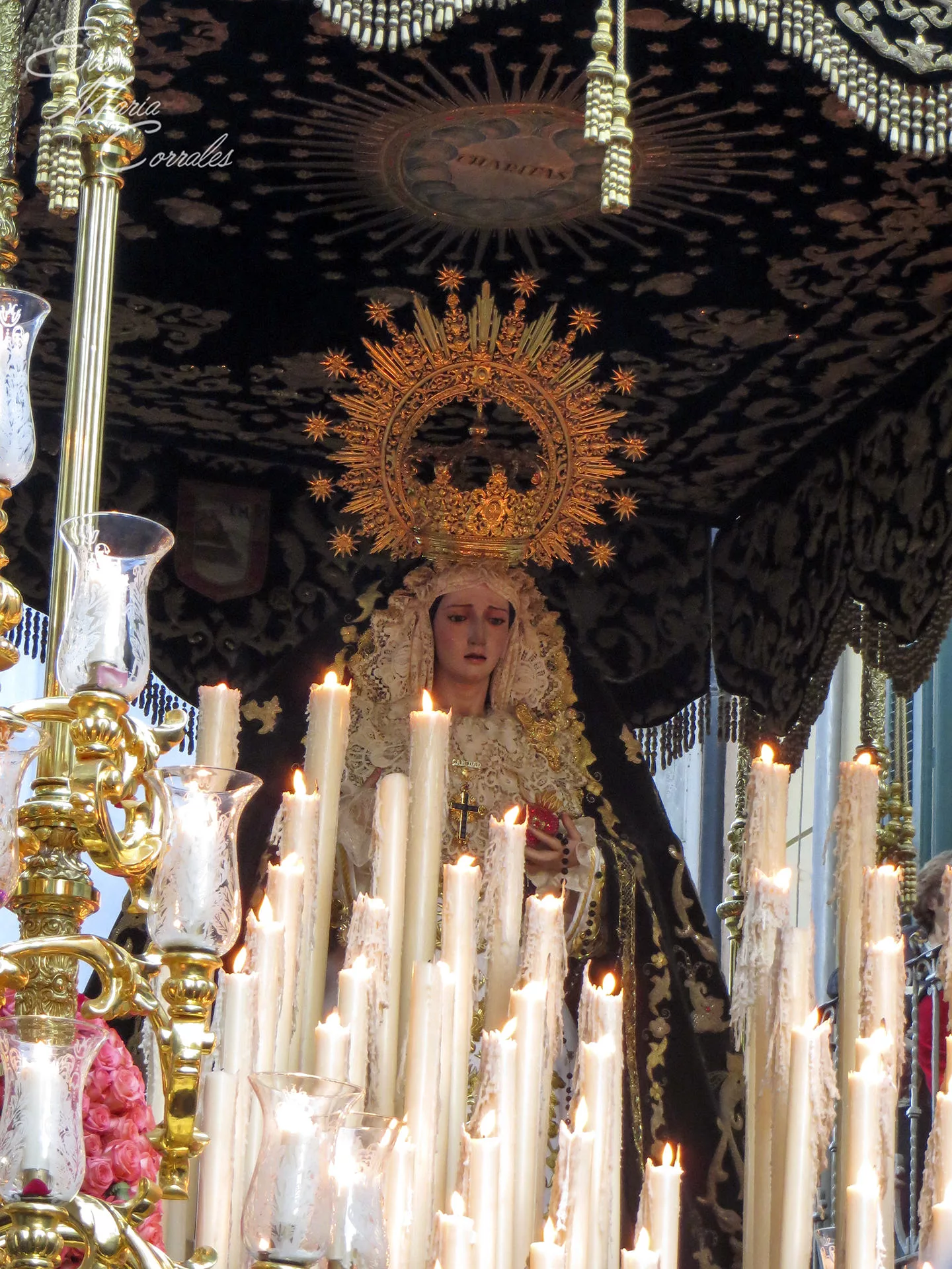 Amor, hermandad de la Semana Santa de Málaga