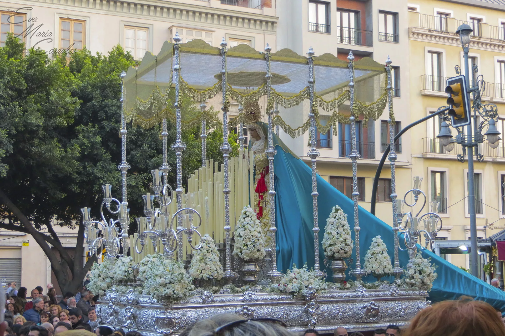 Dulce Nombre, hermandad de la Semana Santa de Málaga