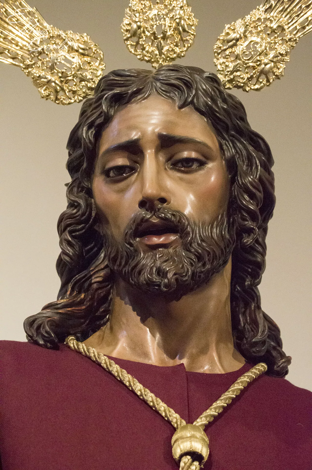 Dulce Nombre, hermandad de la Semana Santa de Málaga