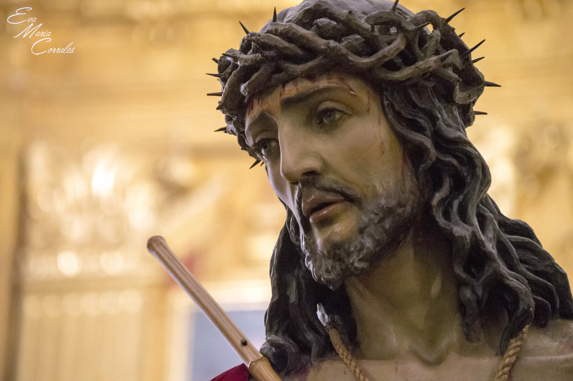 Estudiantes, hermandad de la Semana Santa de Málaga
