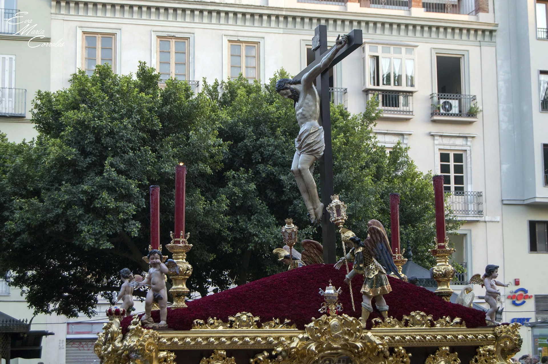 Fusionadas, hermandad de la Semana Santa de Málaga