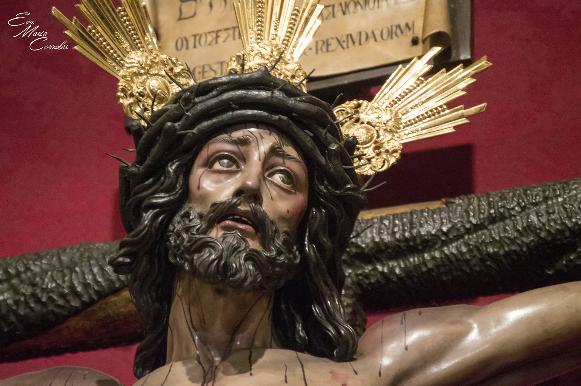 Fusionadas, hermandad de la Semana Santa de Málaga