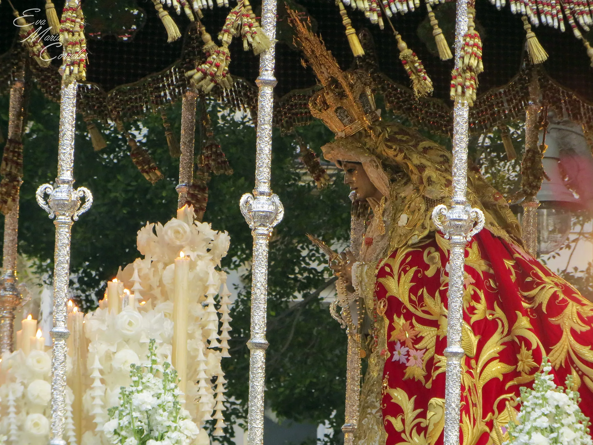 Gitanos, hermandad de la Semana Santa de Málaga