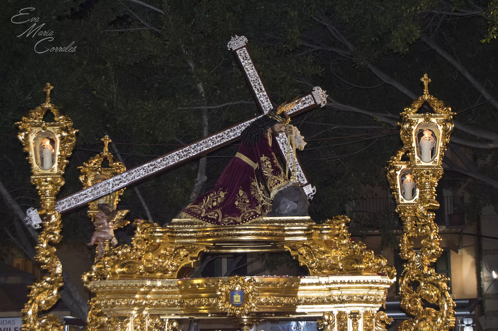 Misericordia