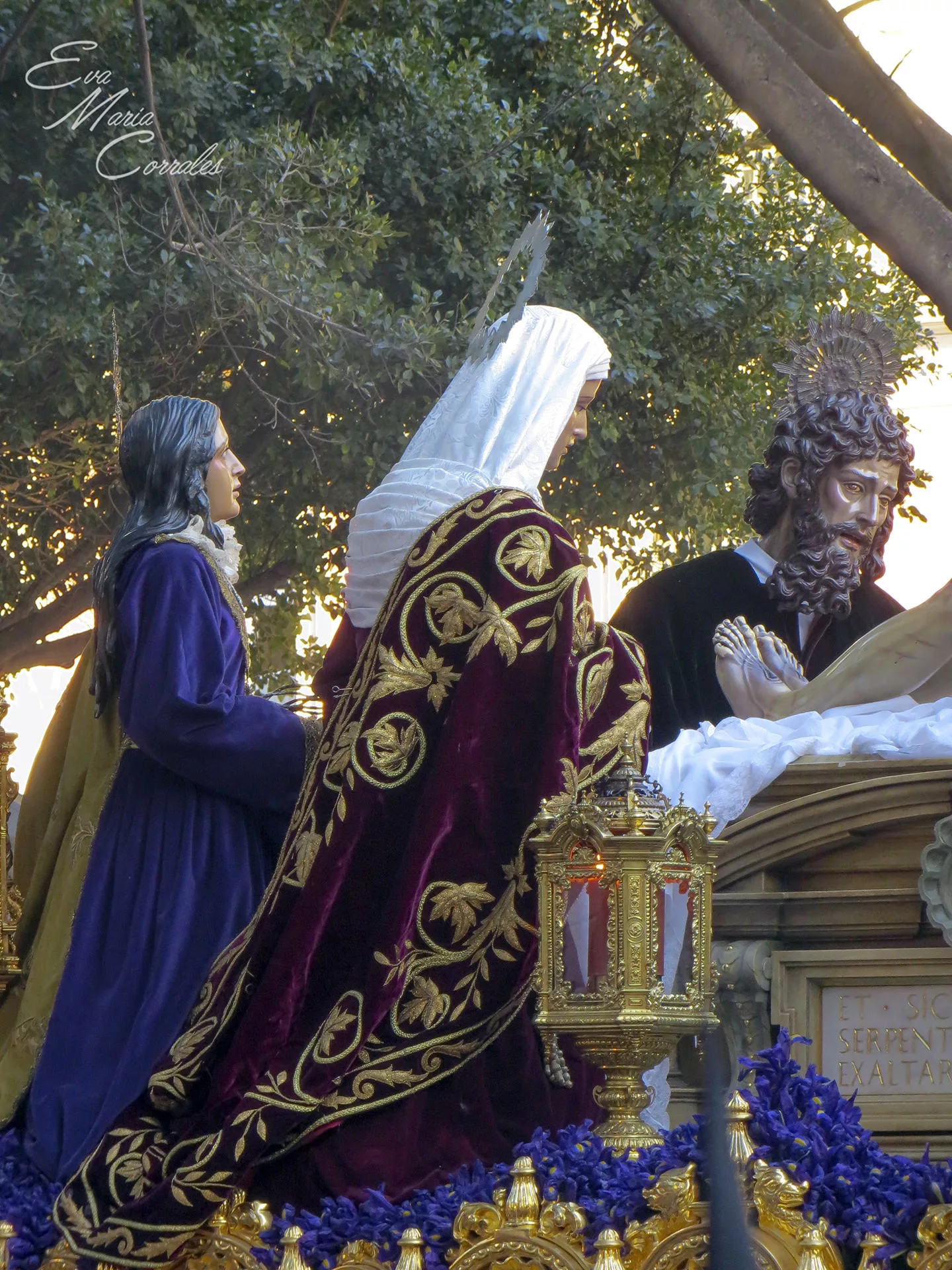 Monte Calvario, hermandad de la Semana Santa de Málaga