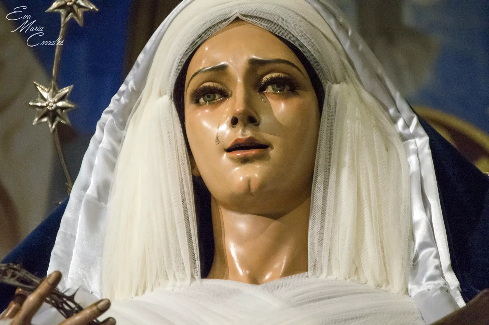 Paloma (Málaga), hermandad de la Semana Santa de Málaga
