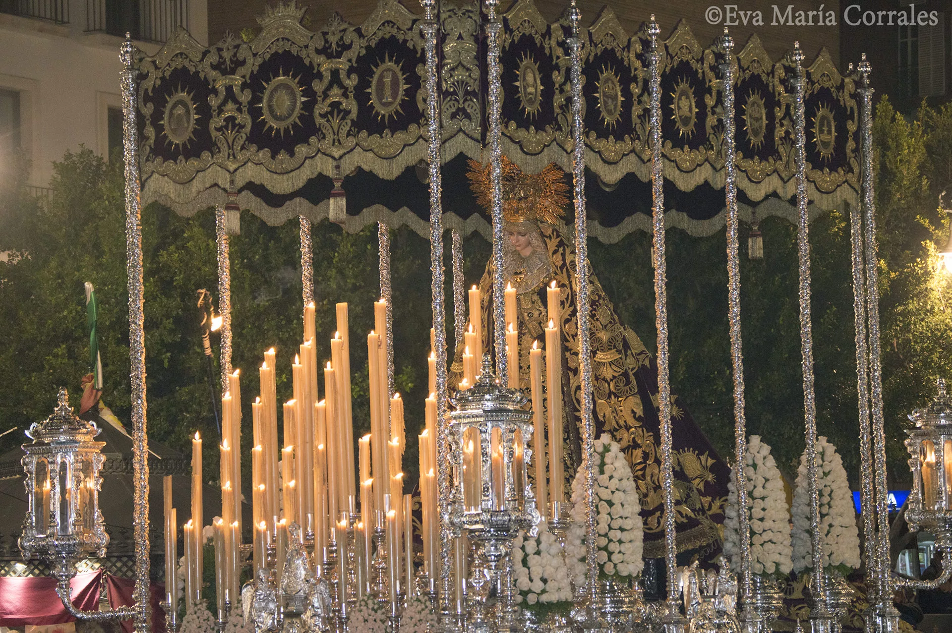 Pasión, hermandad de la Semana Santa de Málaga