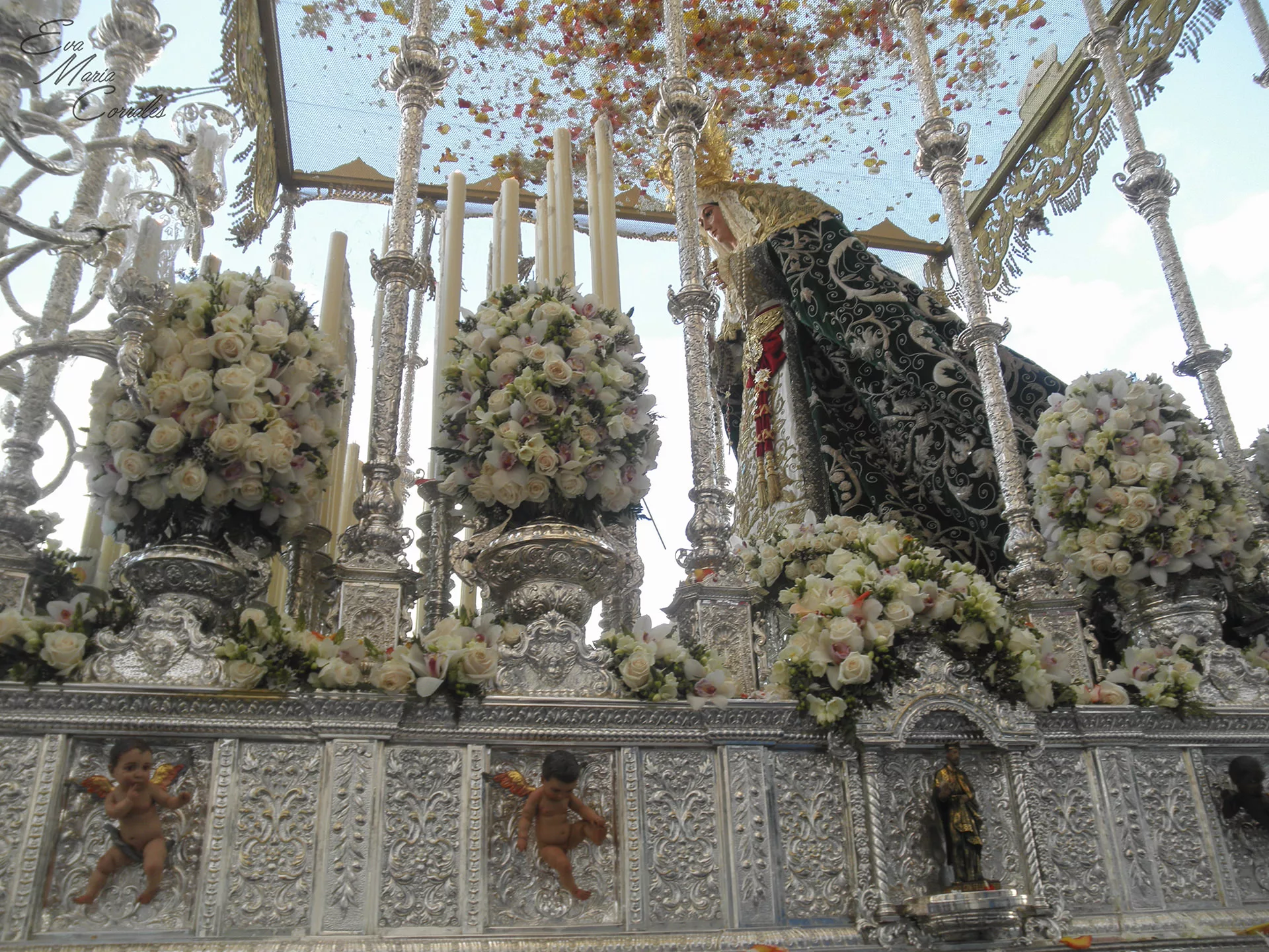Pollinica, hermandad de la Semana Santa de Málaga
