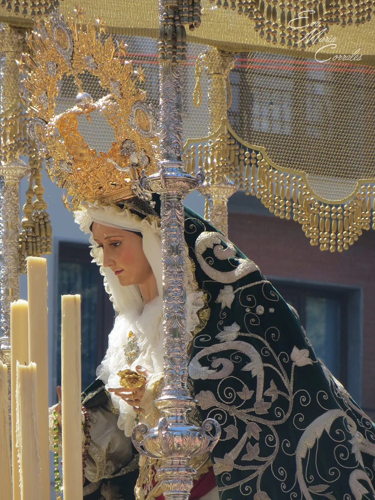 Pollinica, hermandad de la Semana Santa de Málaga