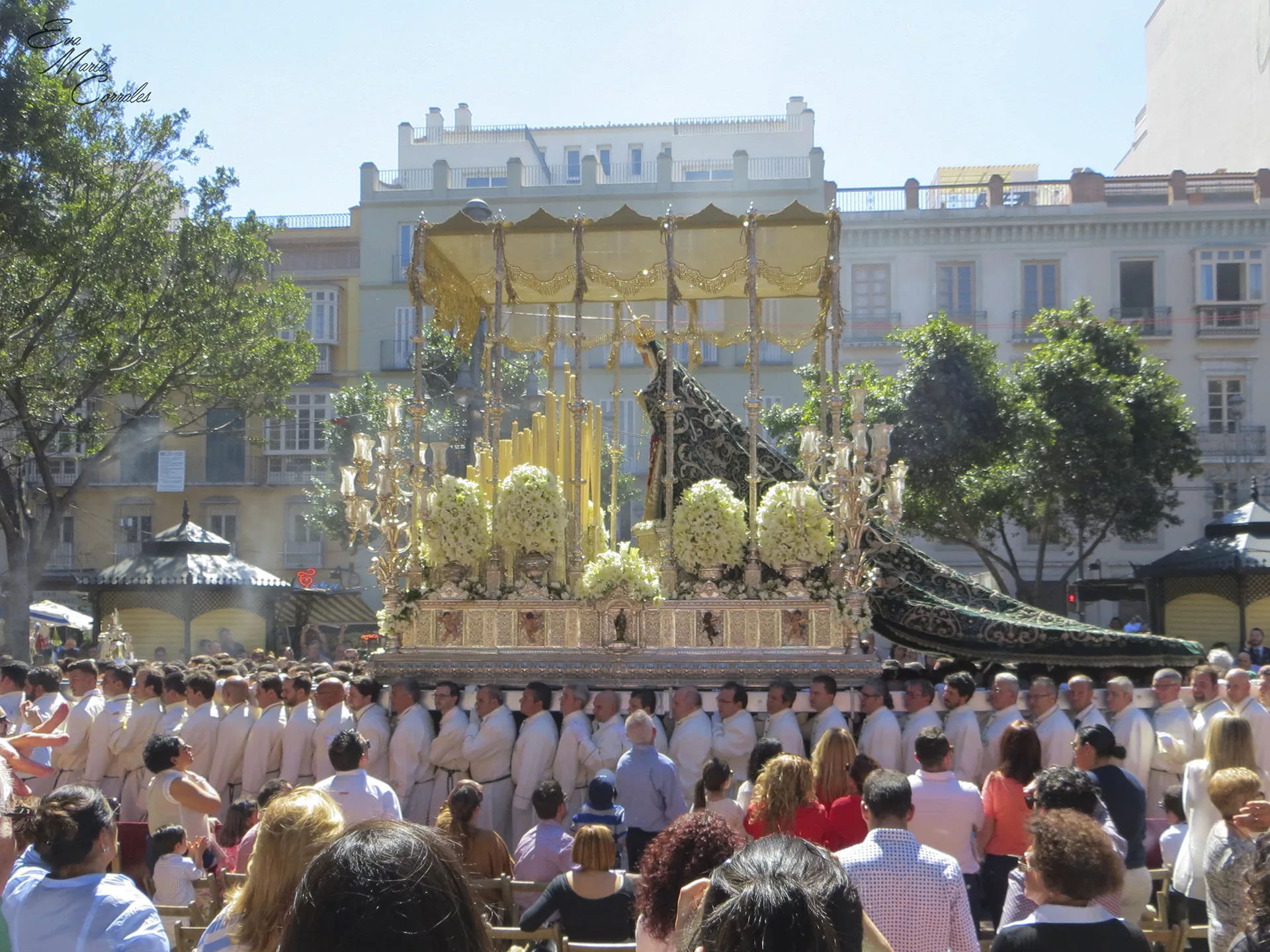 Pollinica, hermandad de la Semana Santa de Málaga
