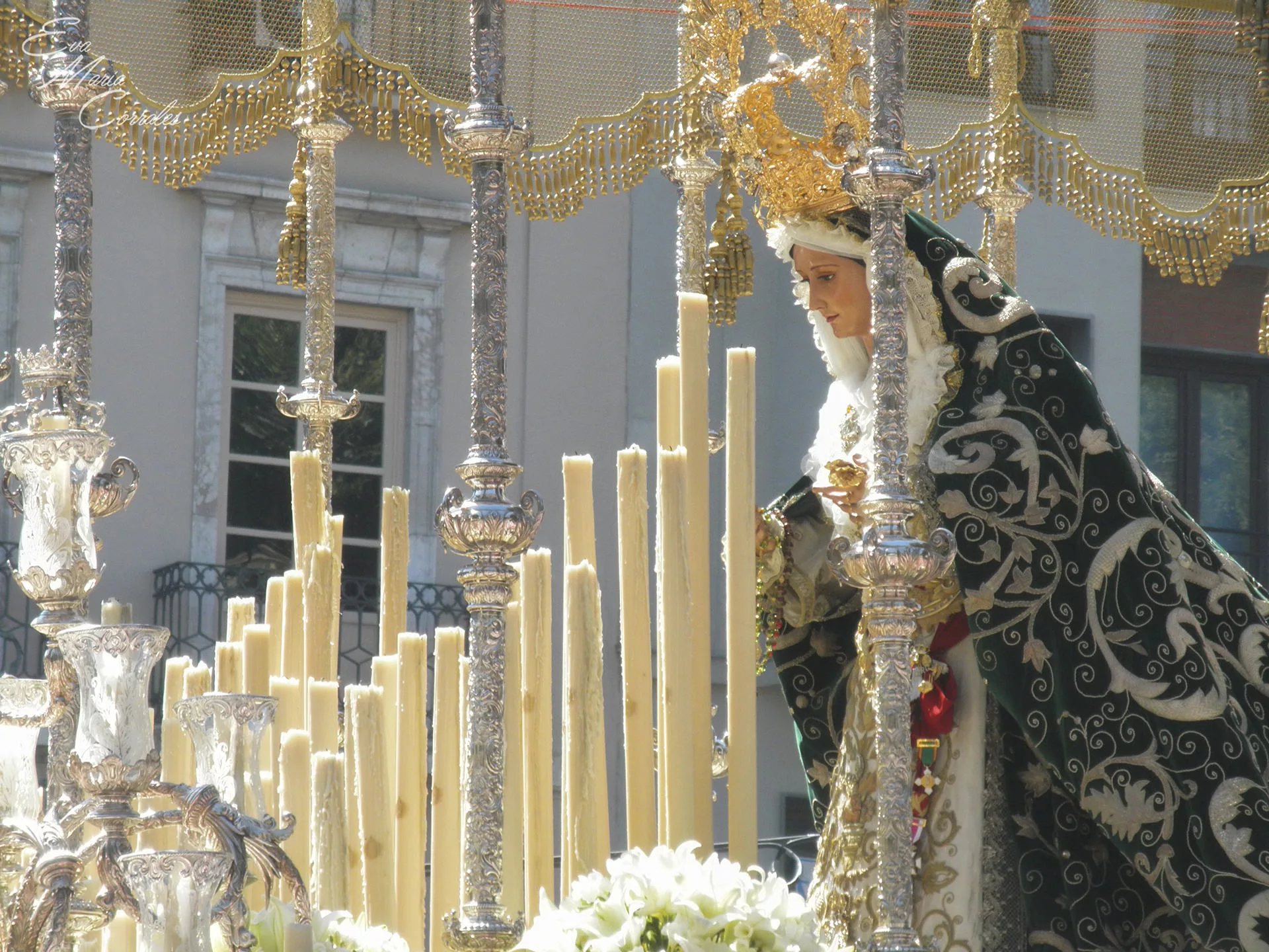 Pollinica, hermandad de la Semana Santa de Málaga