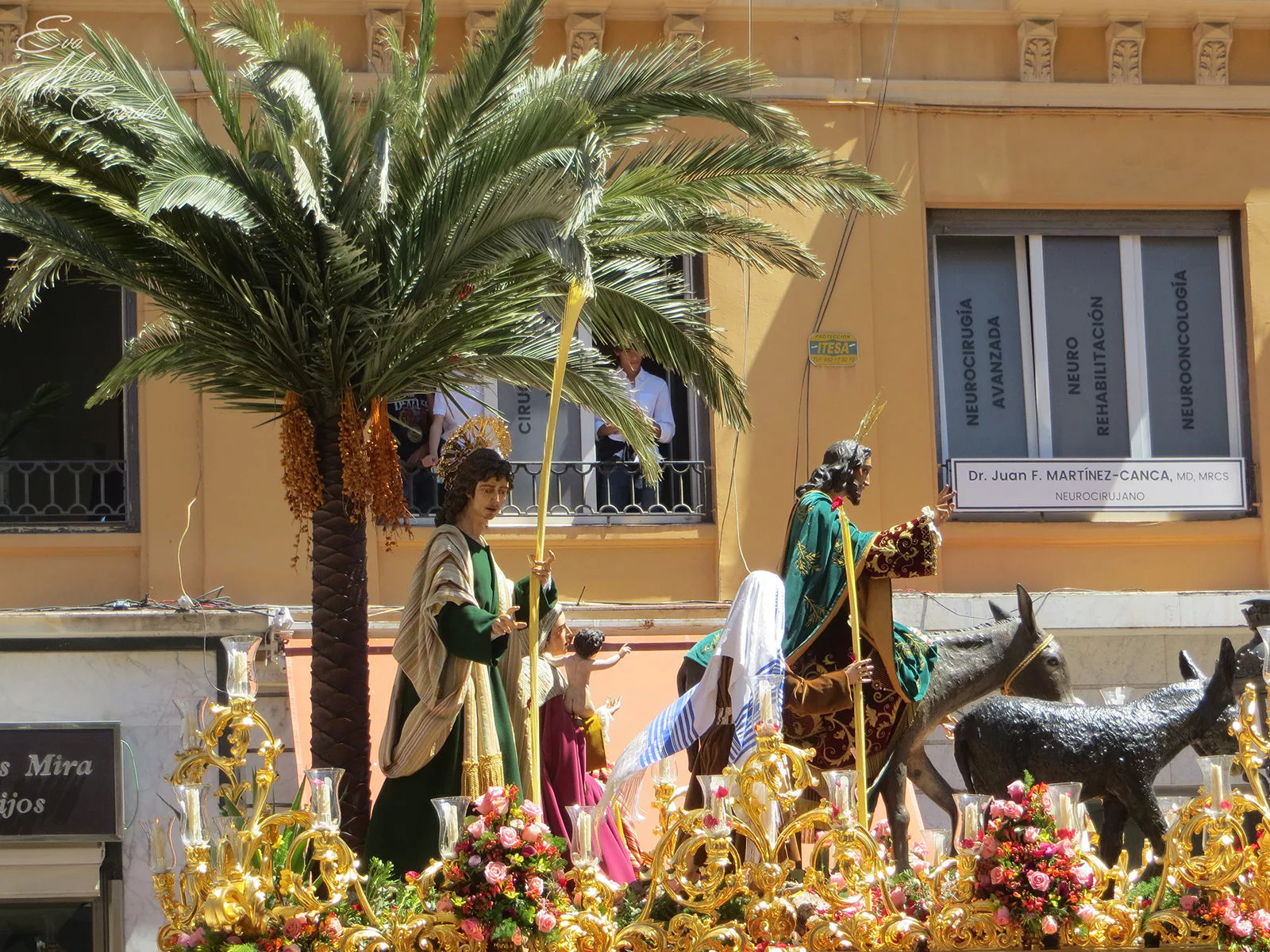 Pollinica, hermandad de la Semana Santa de Málaga