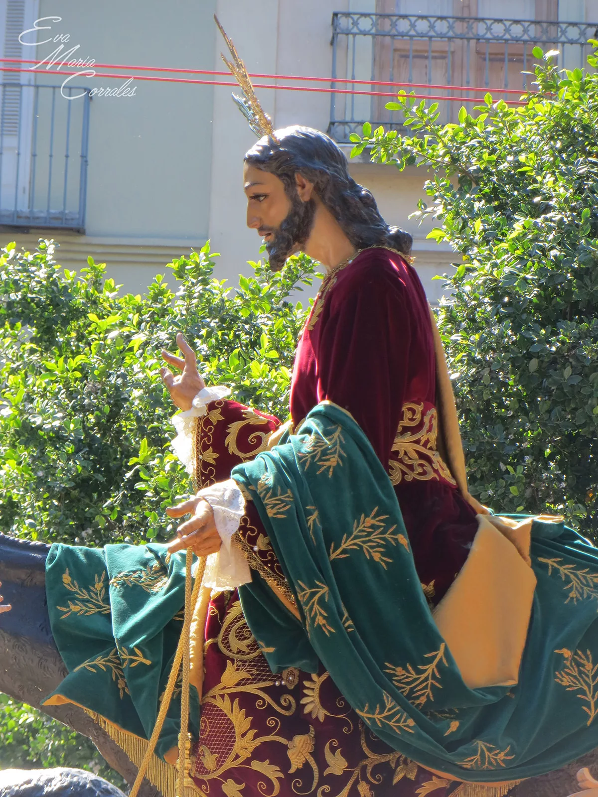 Pollinica, hermandad de la Semana Santa de Málaga