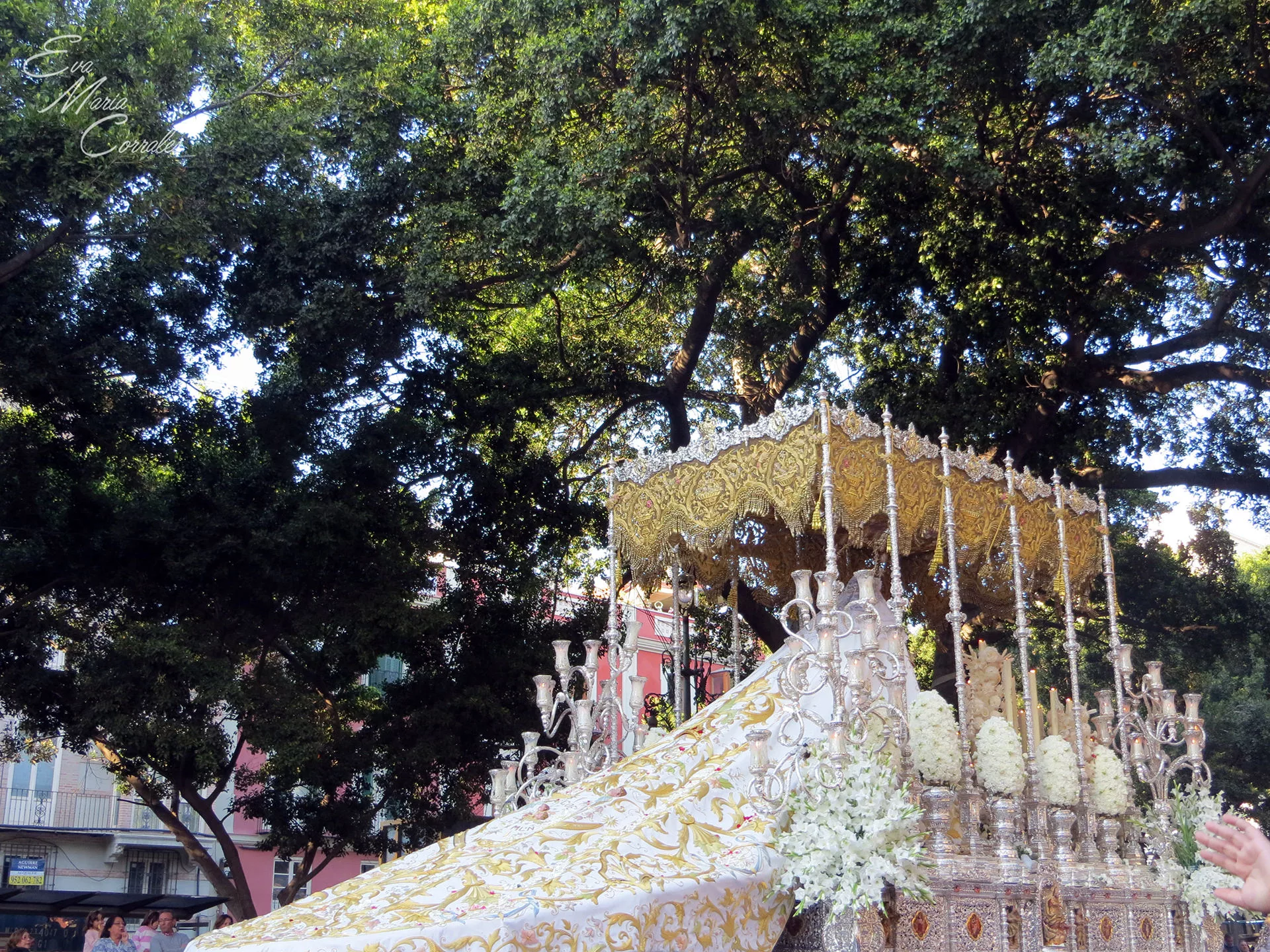 Rocío, hermandad de la Semana Santa de Málaga