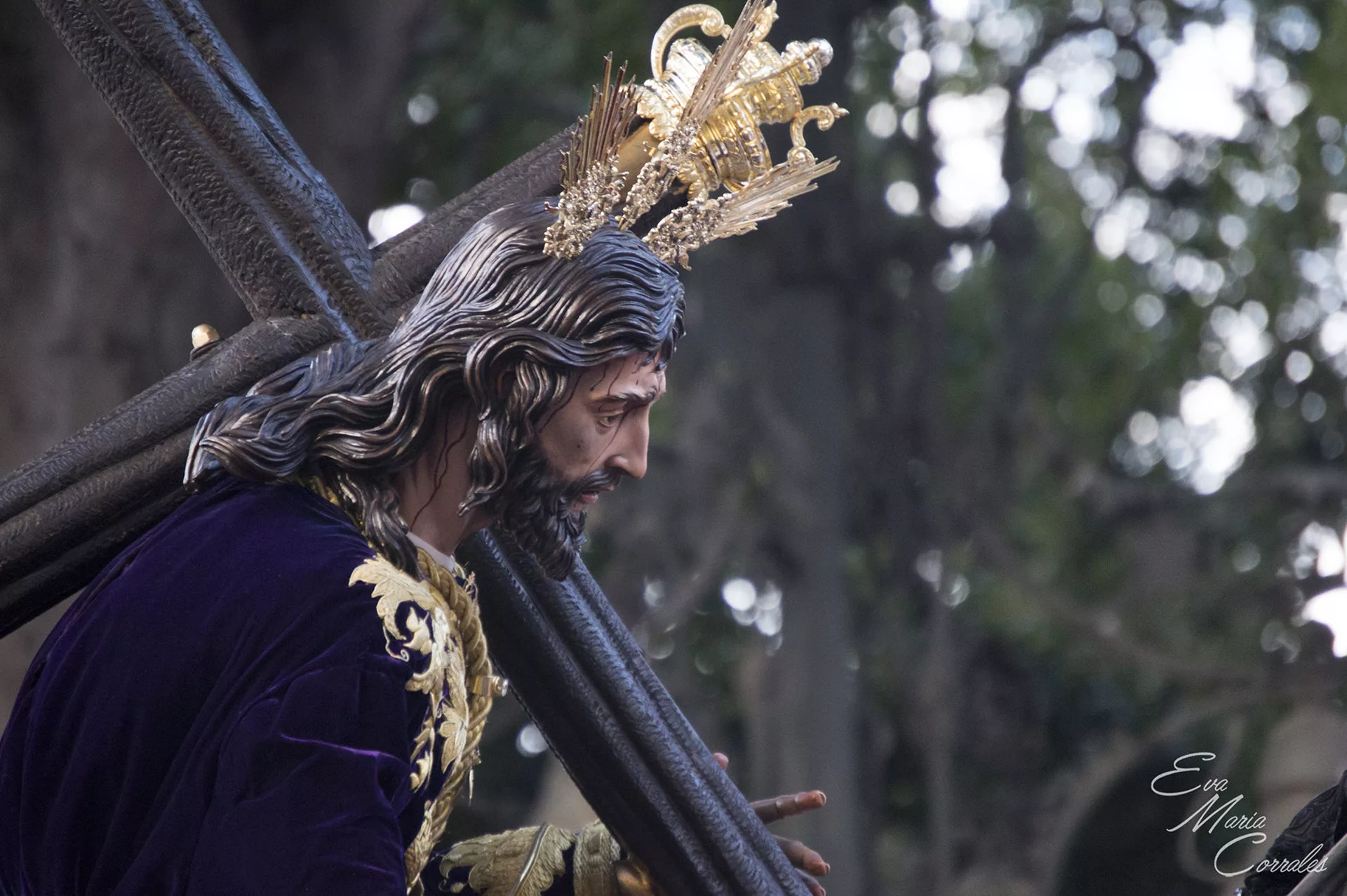 Salutación, hermandad de la Semana Santa de Málaga