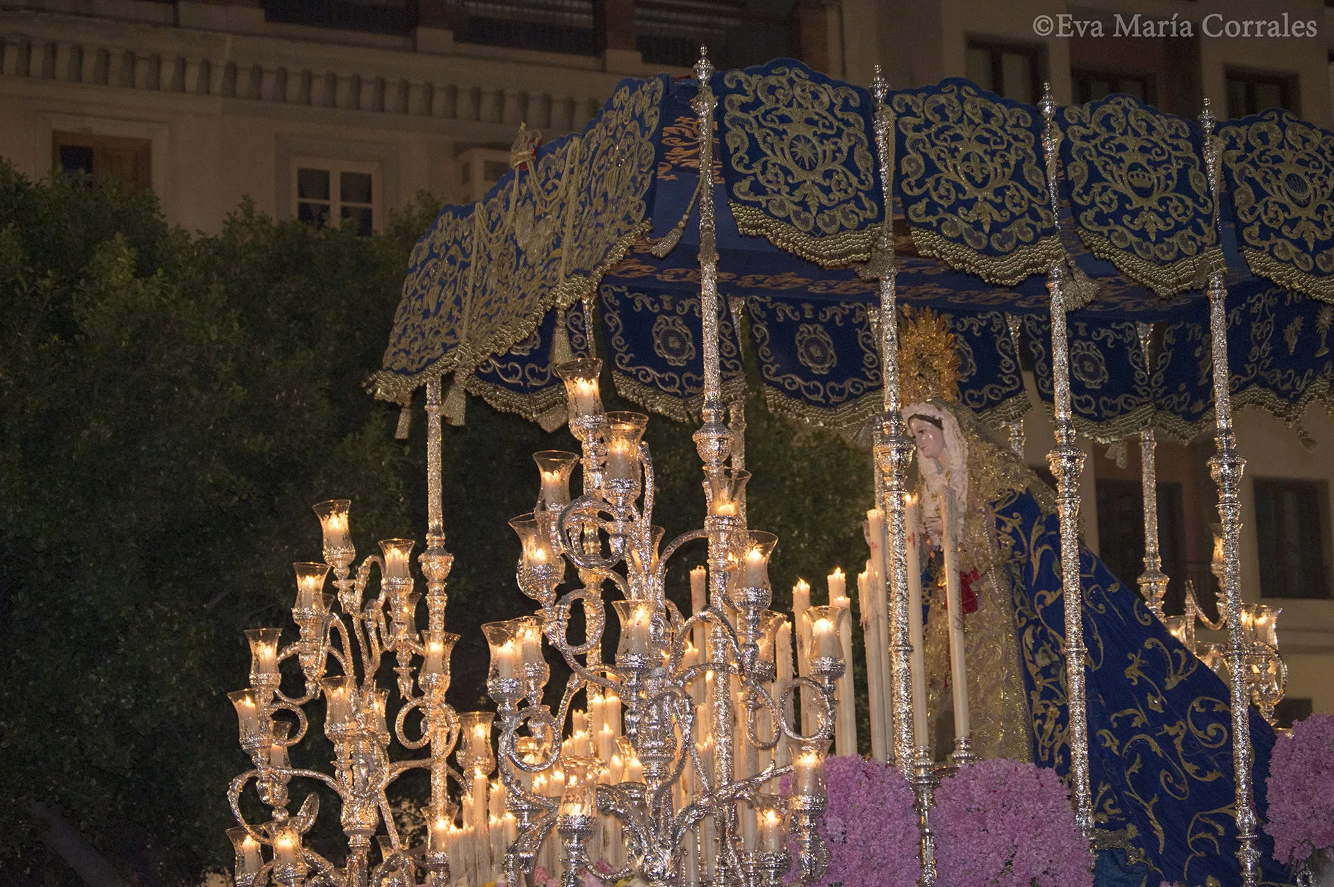 Sentencia, hermandad de la Semana Santa de Málaga