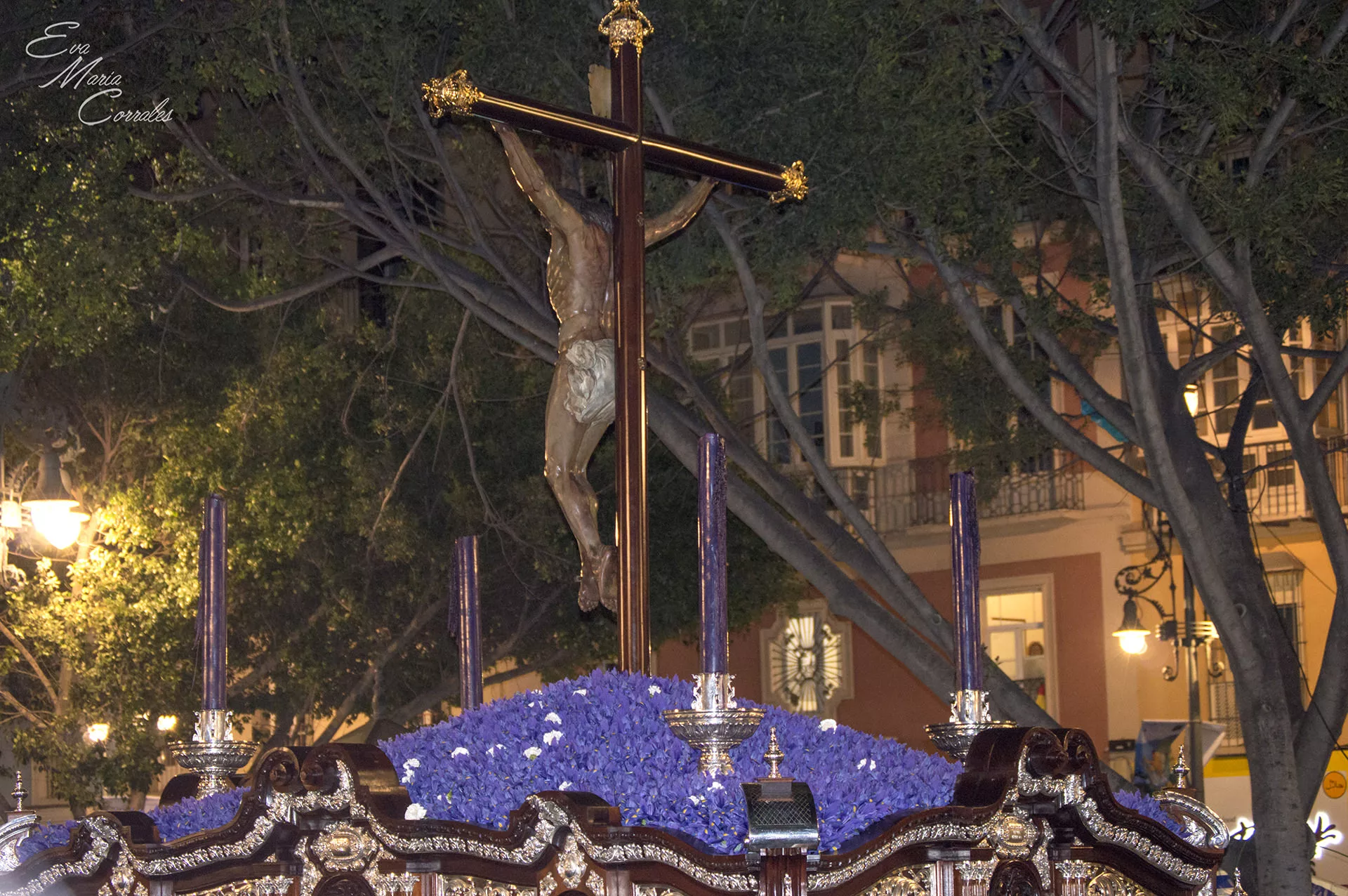 Zamarrilla, hermandad de la Semana Santa de Málaga