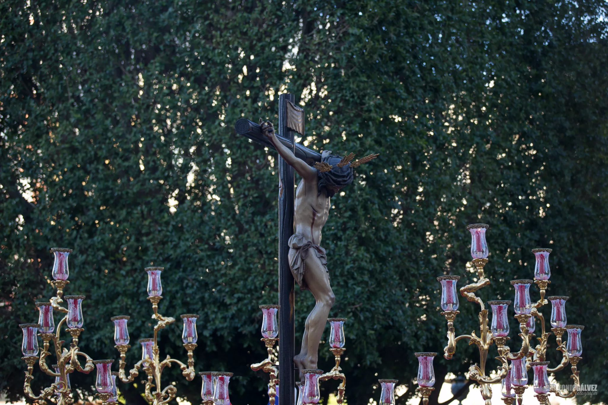San Bernardo, hermandad de la Semana Santa de Sevilla