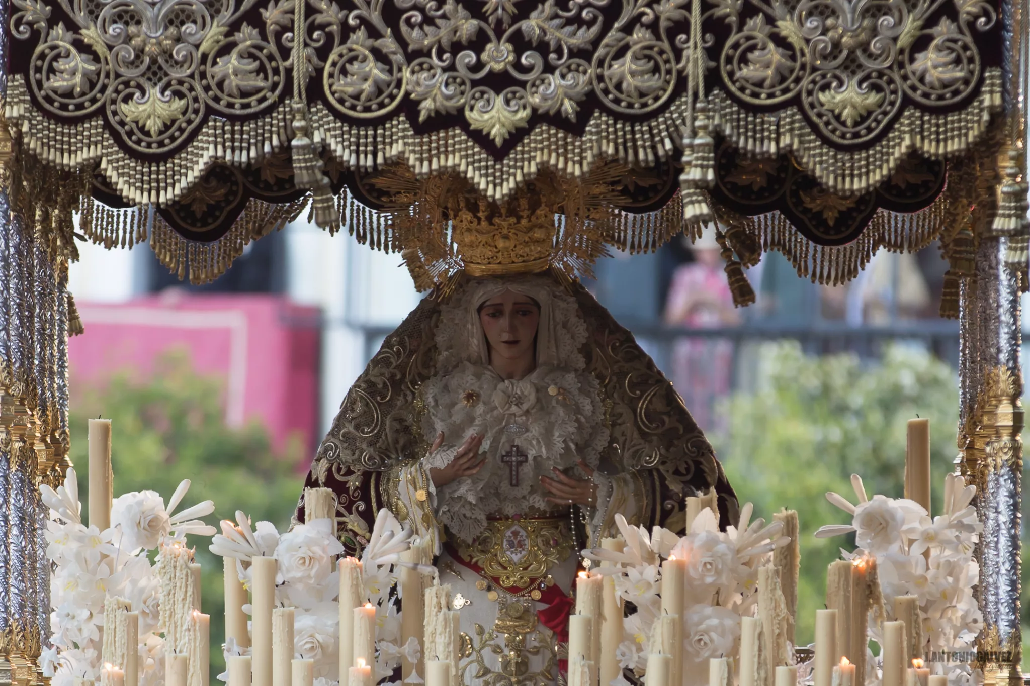 San Bernardo, hermandad de la Semana Santa de Sevilla