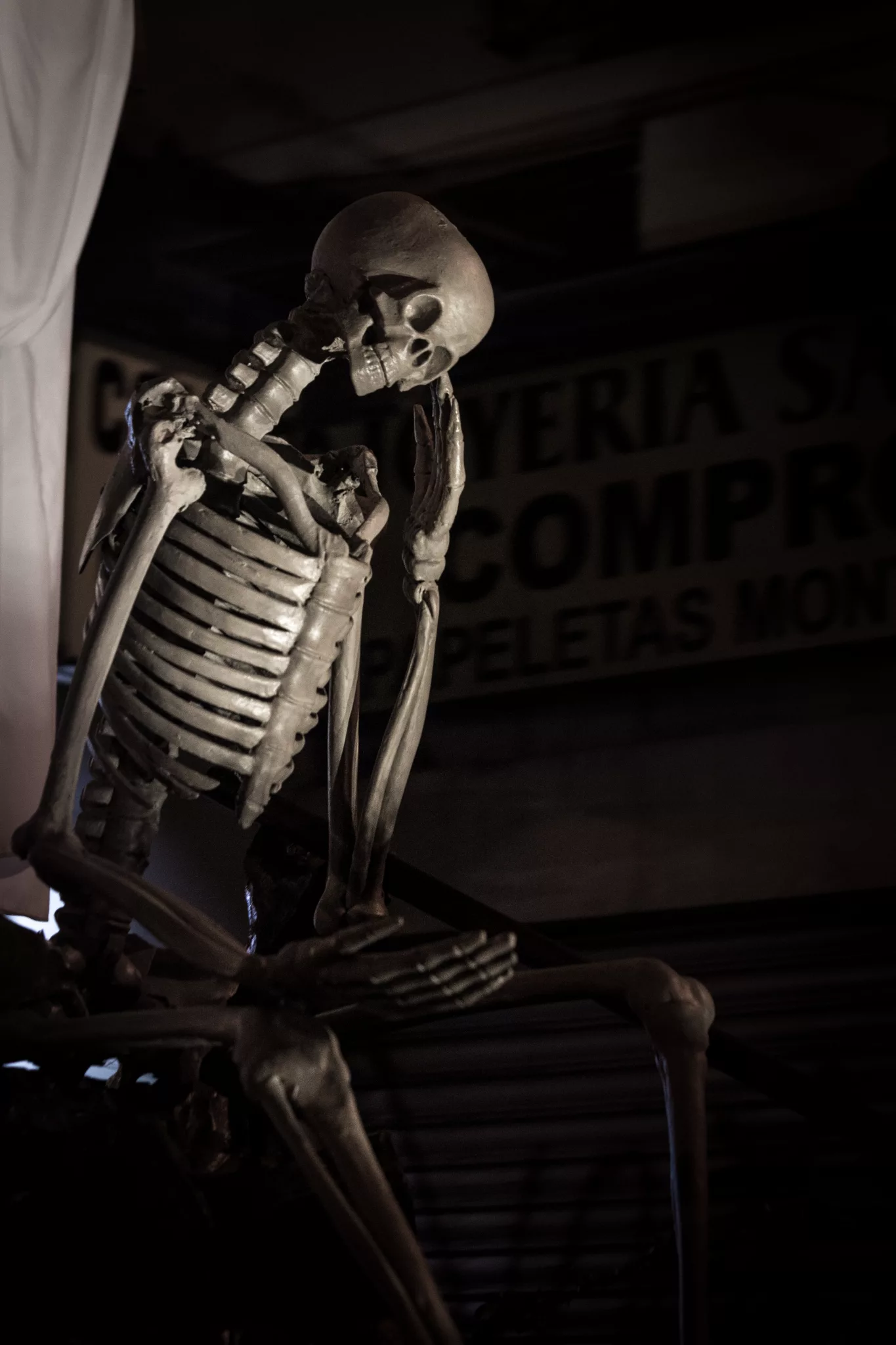 La Sangre De Cristo, hermandad de la Semana Santa de Zaragoza