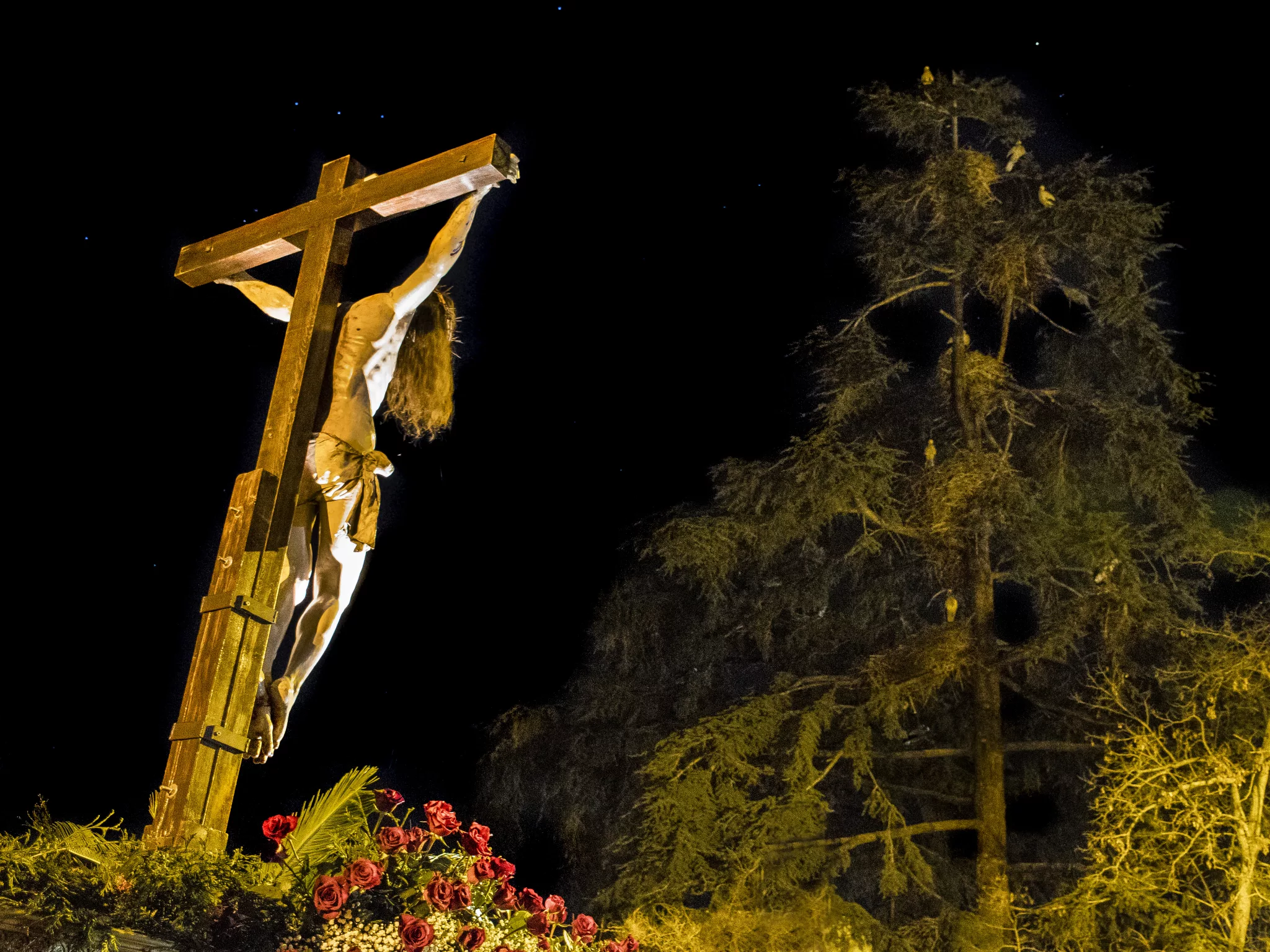 Soledad Dolorosa, hermandad de la Semana Santa de Segovia